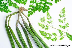 Moringa